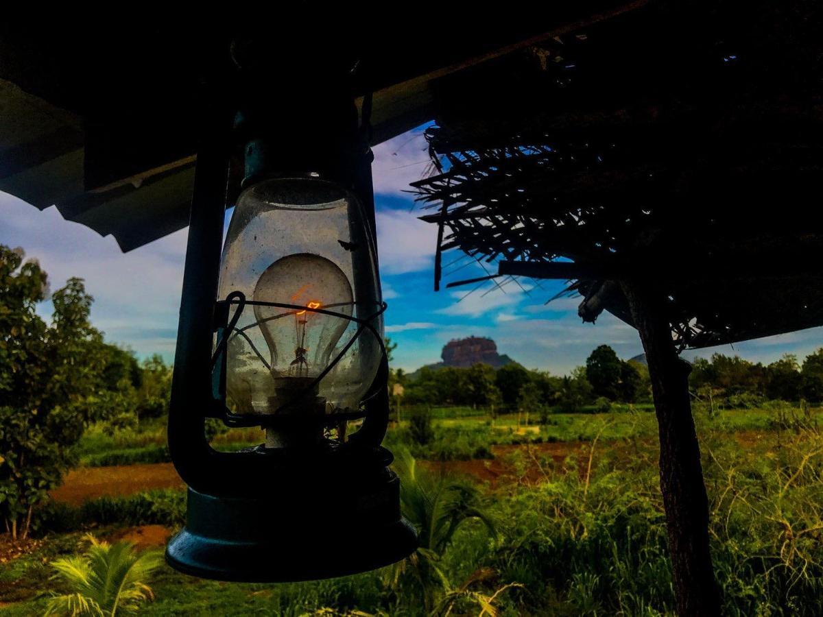 Chena Huts Eco Resort Сігірія Екстер'єр фото